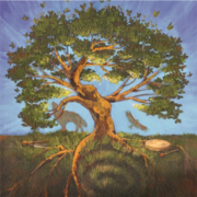 Practical-shamanism