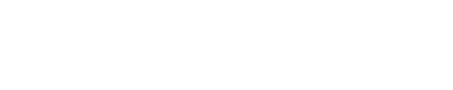 She Shines Strategies | 