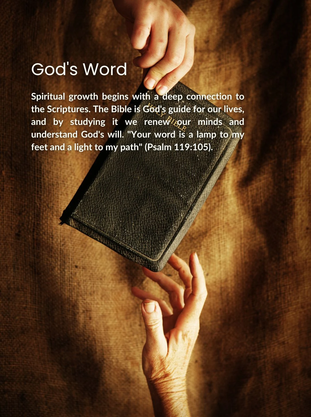 514-gods-word-hand-simbolizing-god-is-giving-a-bible---his-word---to-a-mans-hand---17264982393732.jpg