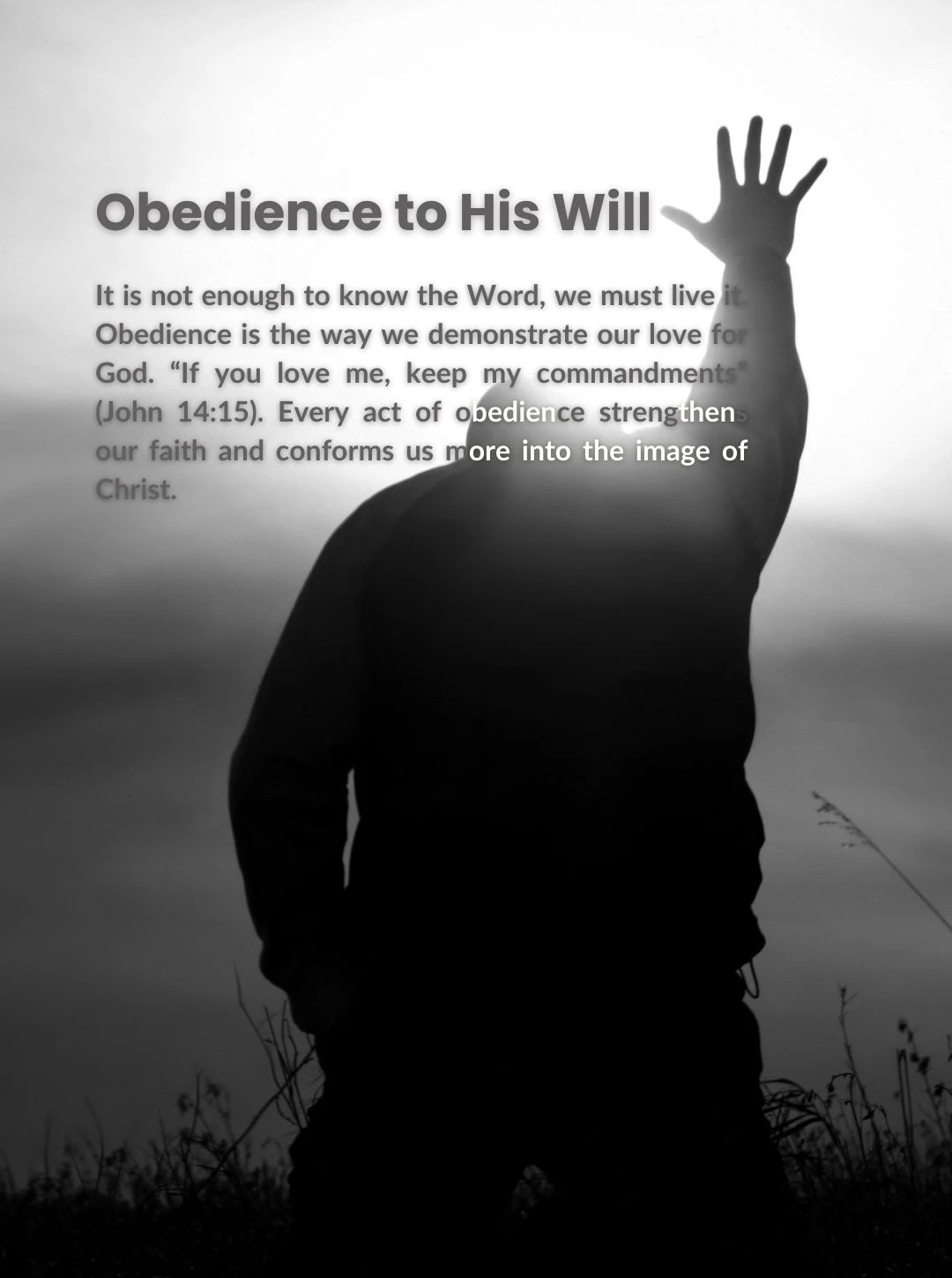 514-it-is-not-enough-to-know-the-word-we-must-live-it-obedience-is-the-way-we-demo-17265288154153.jpg