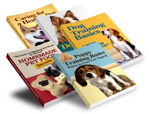 212-dog-training-essentials-collection-17059694590185.jpg