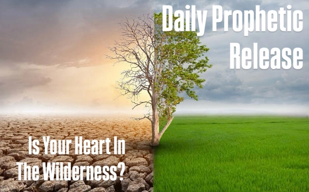 Is Your Heart In The Wilderness?