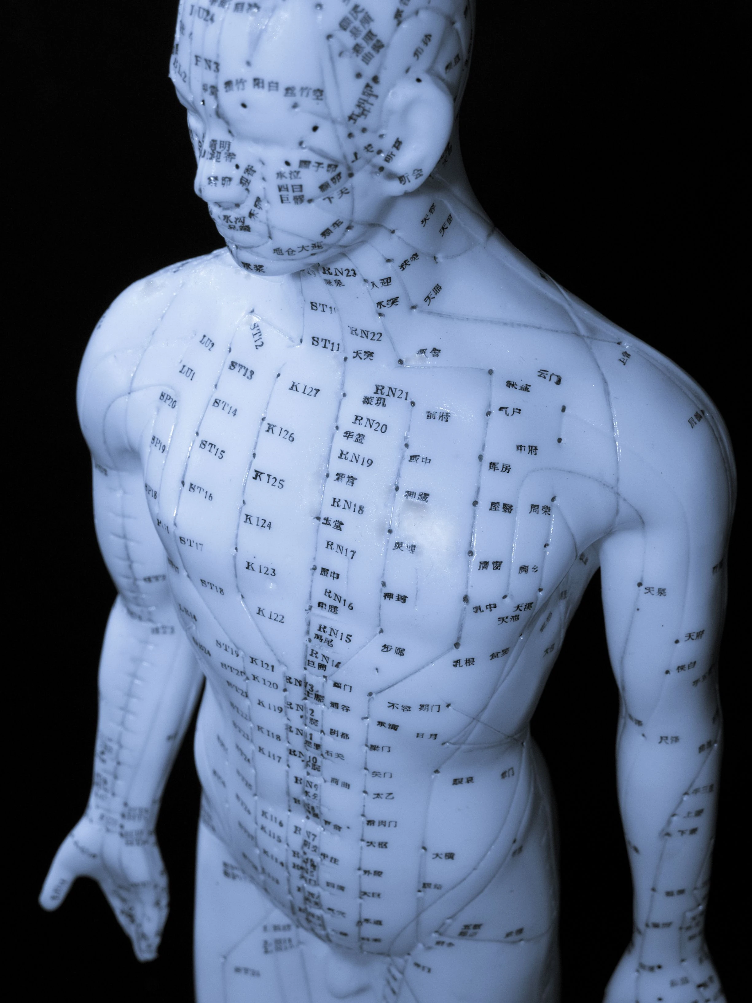 22-2463095acupuncture-concept-17250669927648.jpg