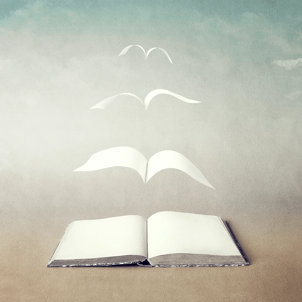 Aufgeschlagenes Buch, aus dessen Seiten weiße Vögel emporfliegen – Sinnbild für selbstbestimmtes Lernen.