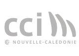 Logo CCI Nouvelle-Calédonie