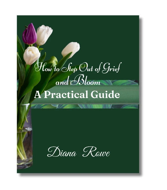 168525786593796-book-practical-guuide-2-17409730684478.png