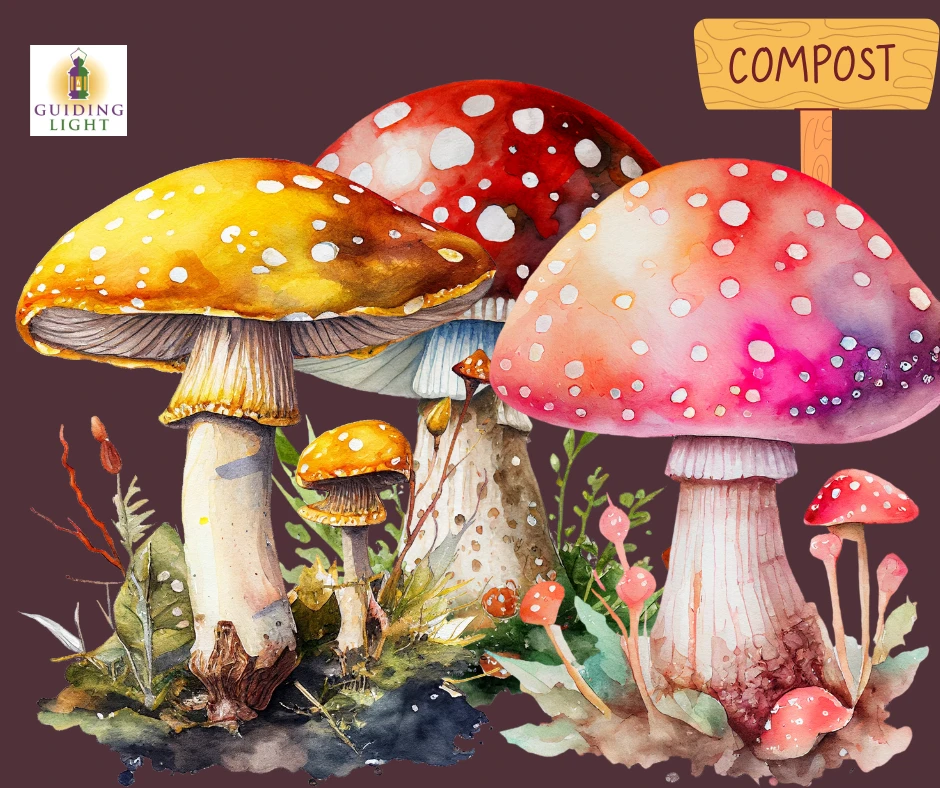 Beneath the Surface: Composting Old Narratives like Mushroom Wisdom