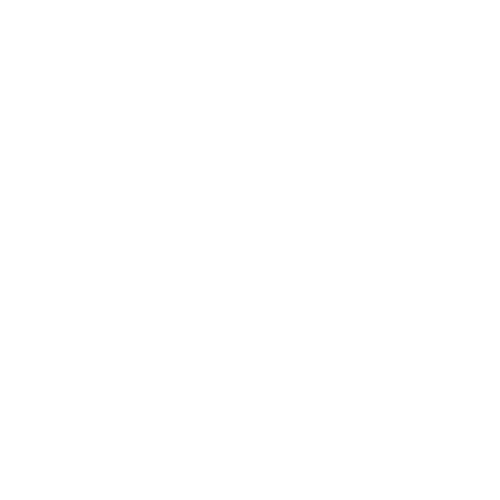 BJJ Flow Buddy