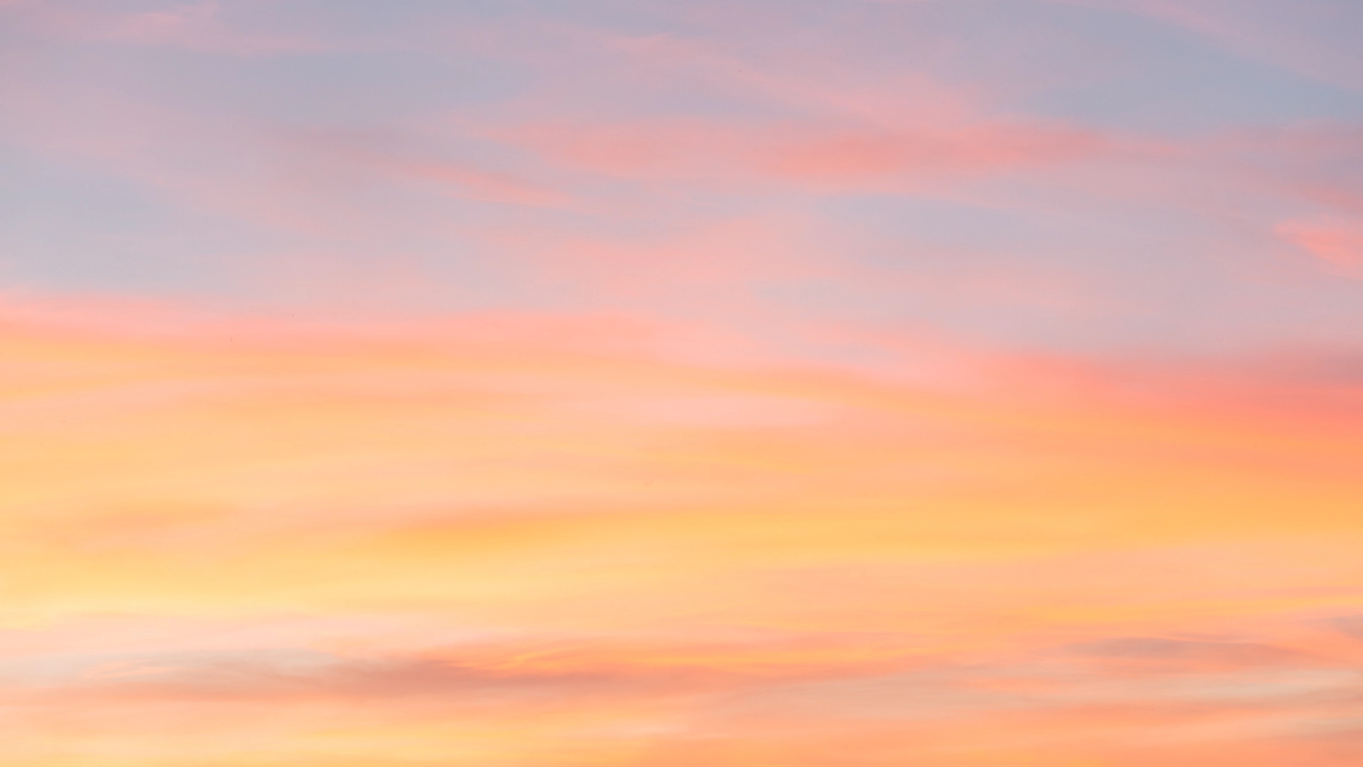 r113-1-17440290859032.png