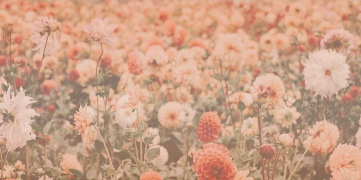 r22-how-to-navigate-grief-while-holding-onto-your-hope-in-christ-1400-x-1400-px-3-17440318475713.png