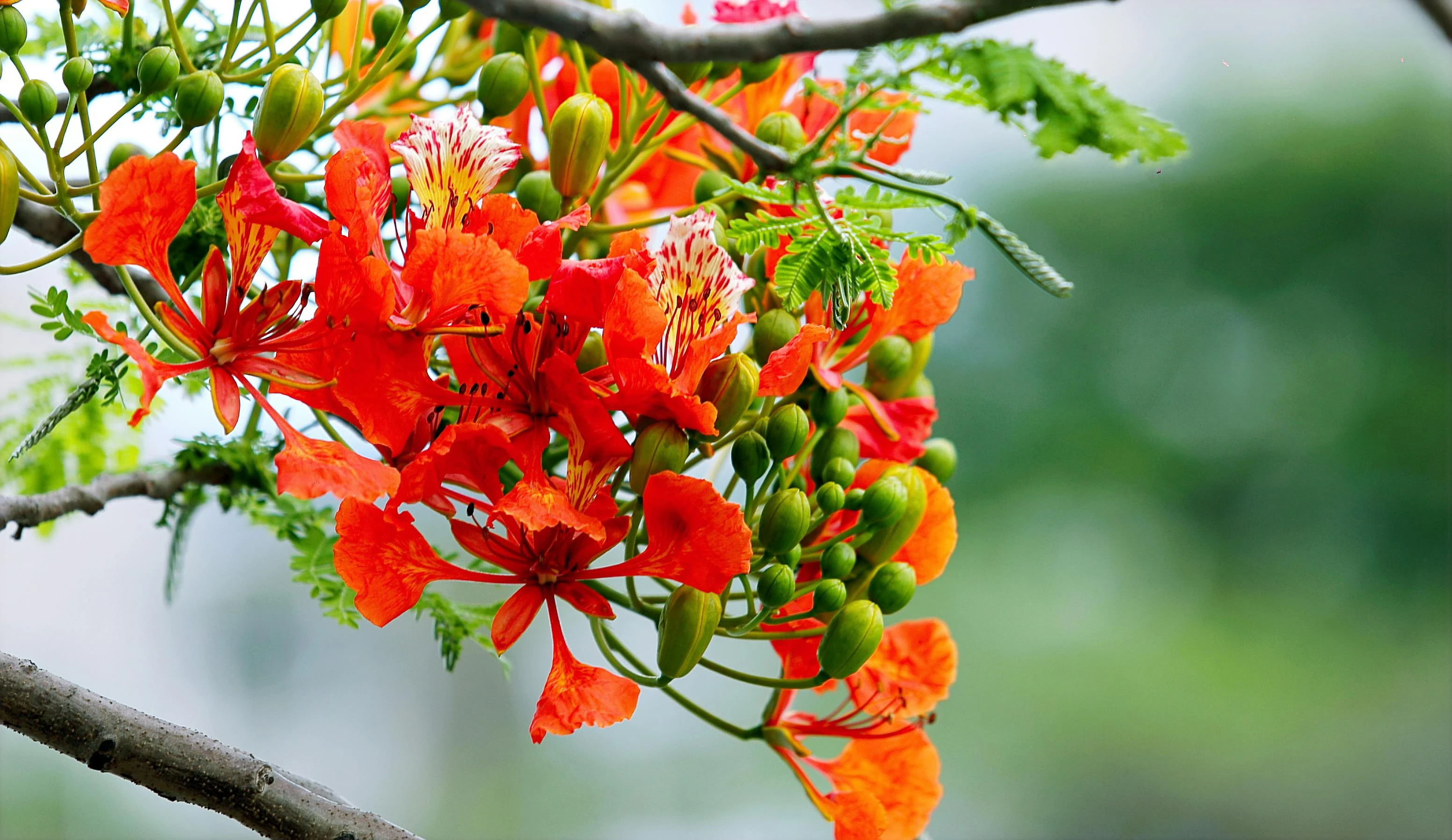 3310-pexels-hieu-668465-17434644196768.jpg