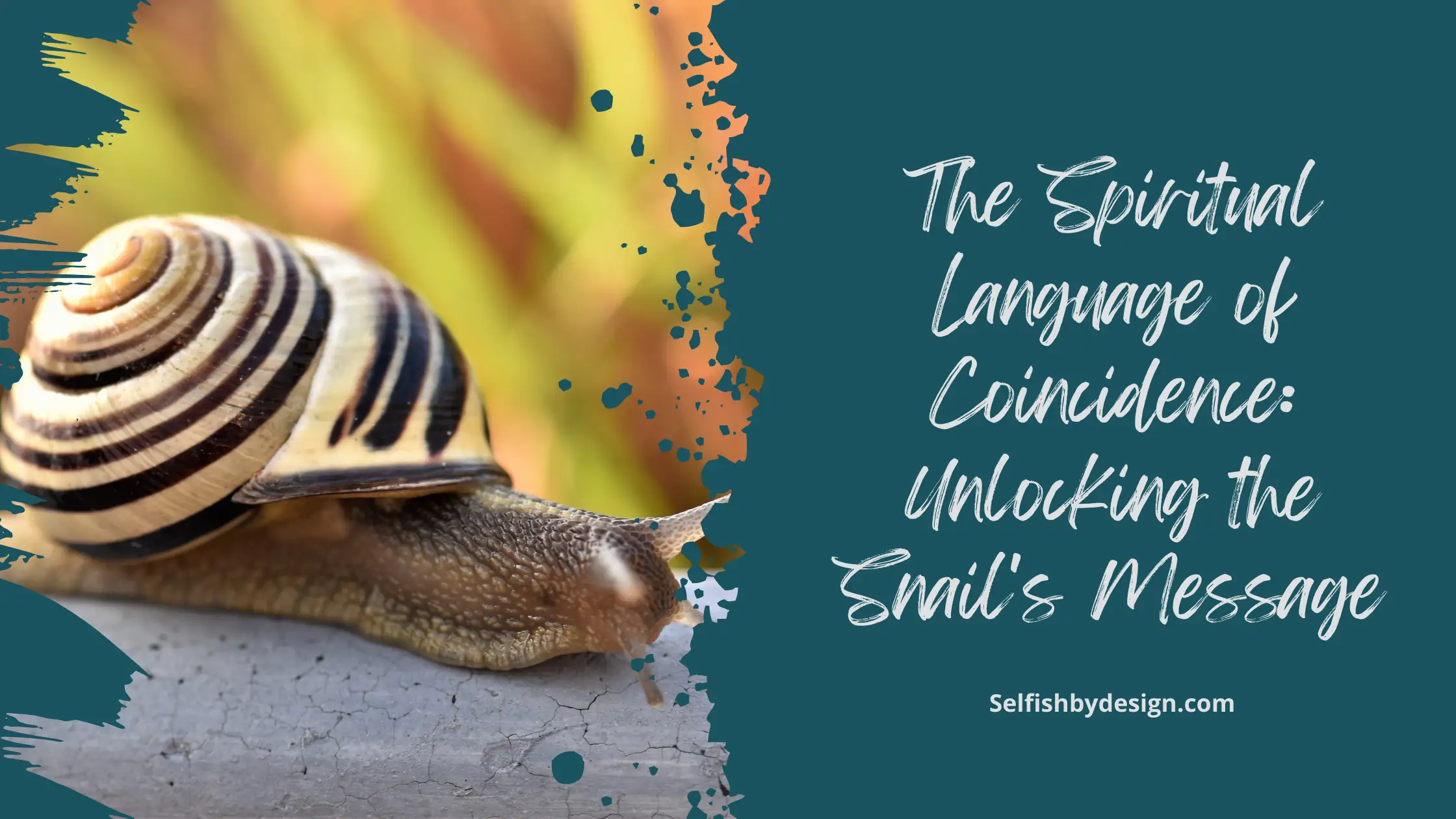 The Spiritual Language of Coincidence: Unlocking the Snail's Message