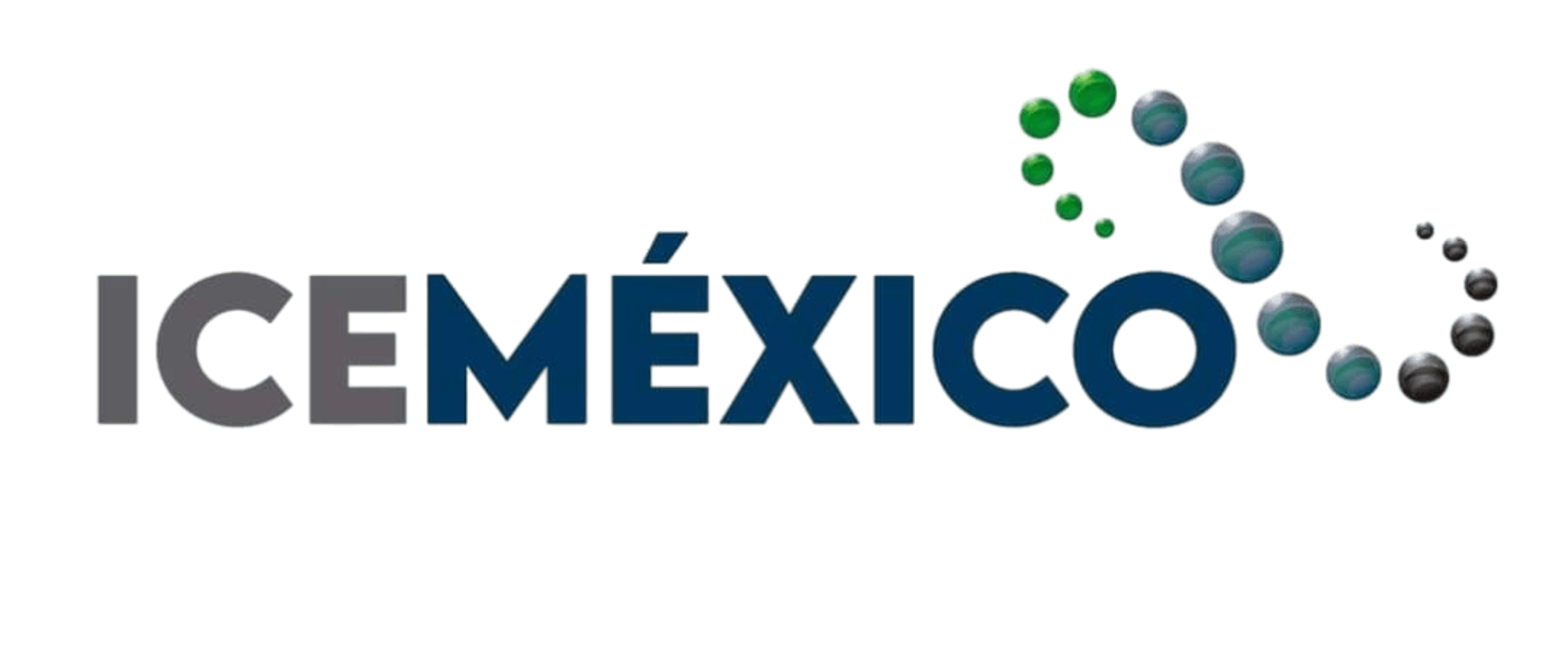 0161054002238262-icemexico-17620596032573.png