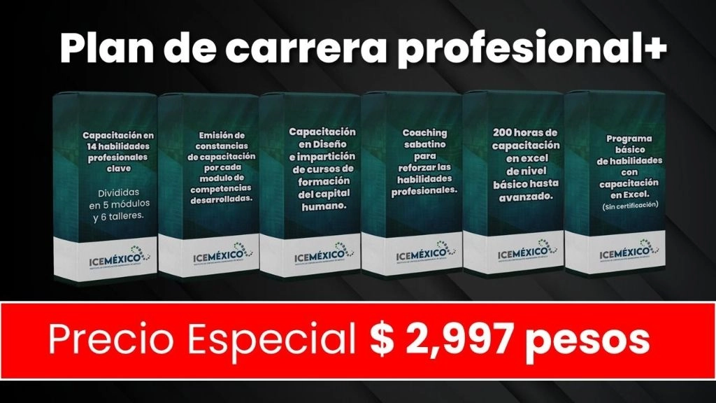 155-plan-de-carrera-profesional-17600312698353.jpeg