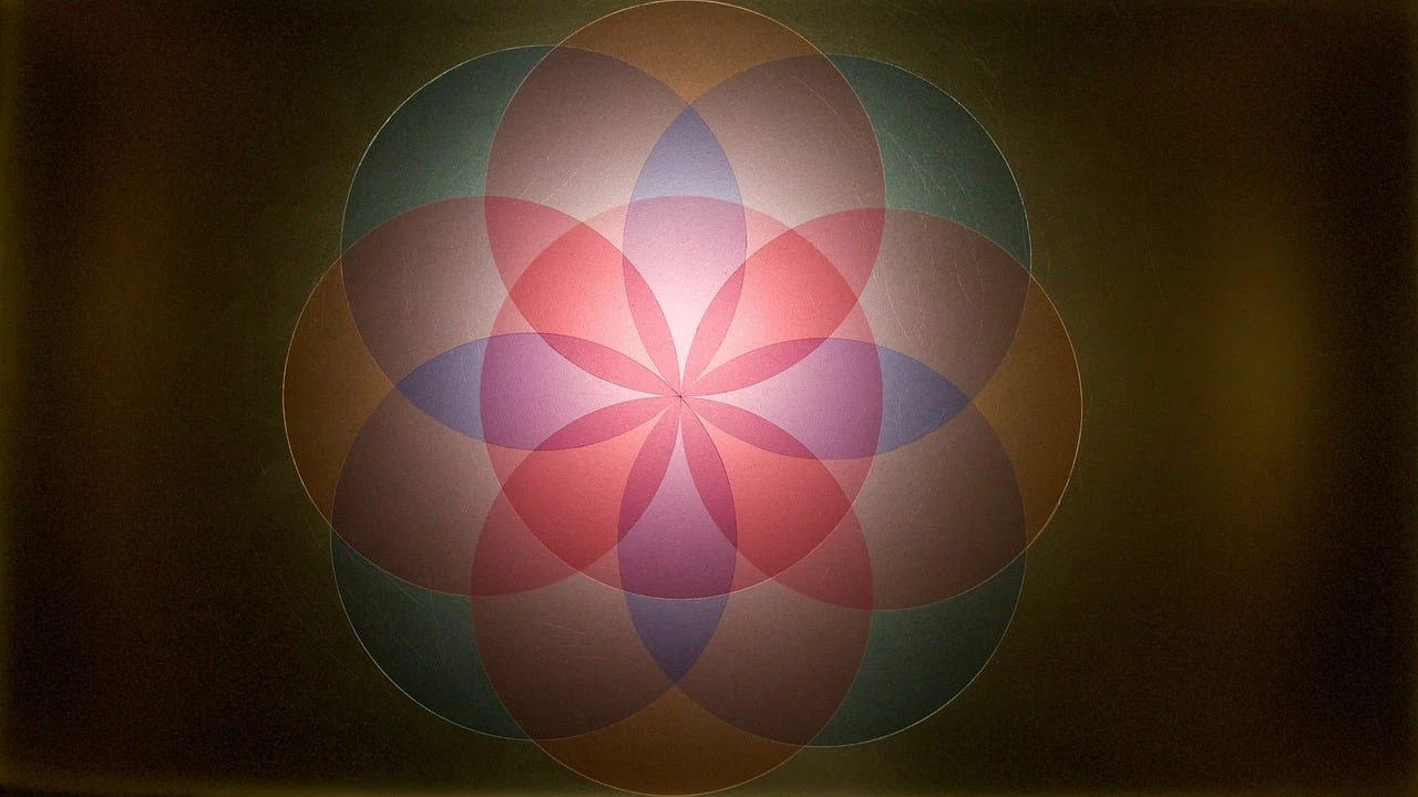 1-8 Wholeness