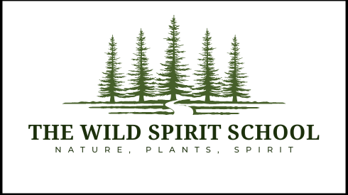 The Wild Spirit School