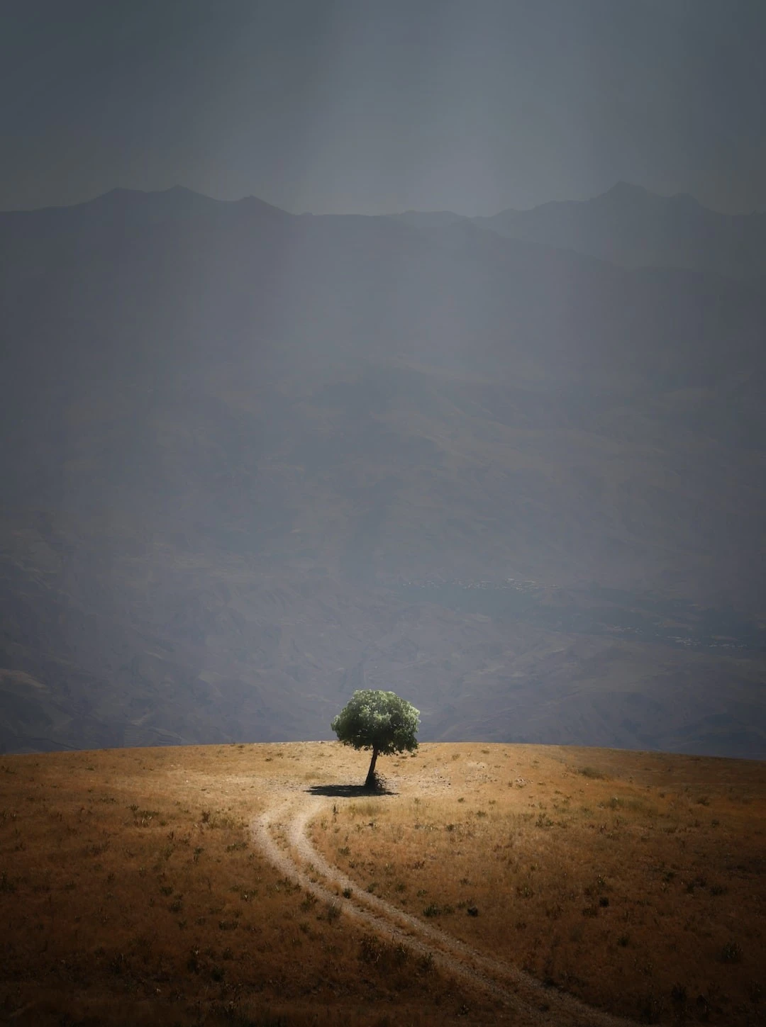 Your Journey to Inner Peace